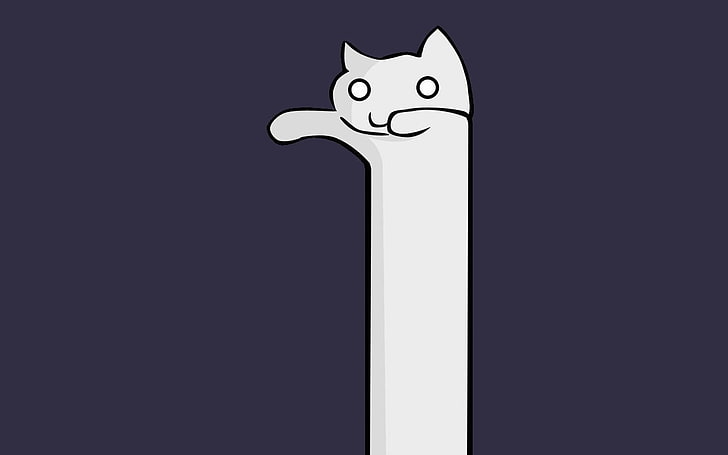 meme longcat gatos 1680x1050 Animais Gatos HD Art, gatos, longcat, HD papel de parede