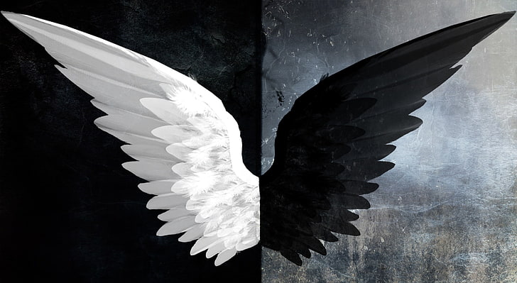 Good and Evil, white and black wings digital wallpaper, Aero, Creative, HD wallpaper