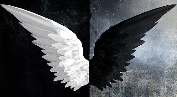 Good and Evil, white and black wings digital wallpaper, Aero, Creative, HD wallpaper HD wallpaper