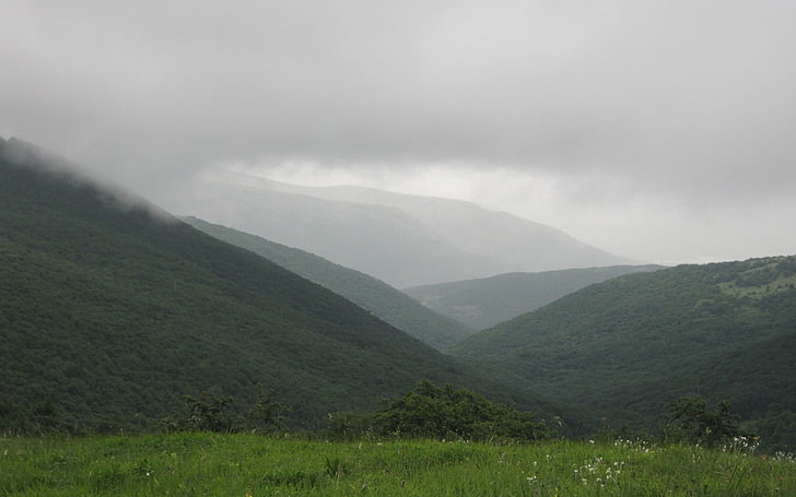 зелена планина, планини, склонове, хълмове, мъгла, униние, HD тапет