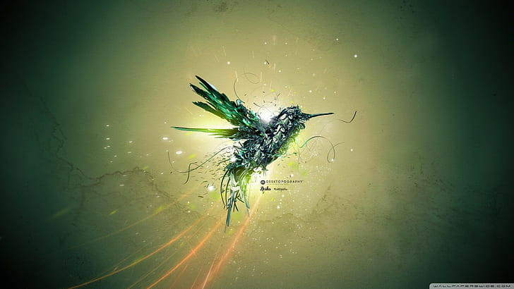 colibri (pájaro), desktopografía, Fondo de pantalla HD