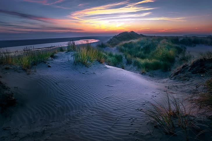 Nederland, dunes, Friesland, Ameland, HD wallpaper
