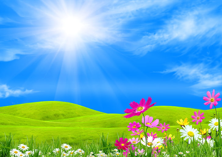 montanha coberta com ilustração de campo de grama, o céu, grama, o sol, nuvens, raios, flores, colinas, colagem, kosmeya, HD papel de parede