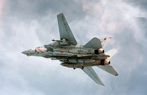 Jet Fighters, Grumman F-14 Tomcat, HD wallpaper HD wallpaper