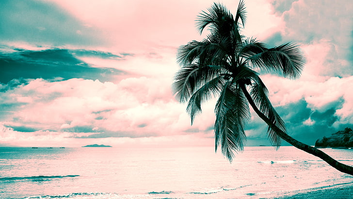 spiaggia, rosa, turchese, palme da cocco, nuvole, nuvole rosa, Sfondo HD