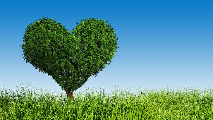 Arbre de coeur d'amour vert, herbe, vert, amour, coeur, arbre, herbe, Fond d'écran HD
