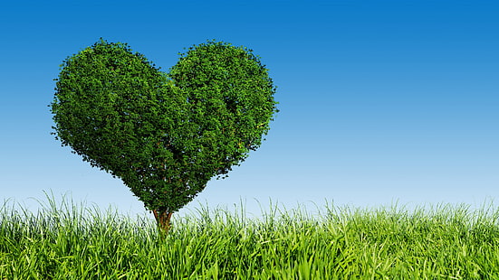 Grönt kärlekhjärtaträd, gräs, grönt, kärlek, hjärta, träd, gräs, HD tapet HD wallpaper