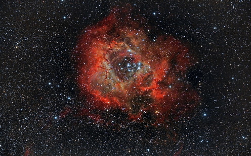 Belle nébuleuse, rosette, NGC 2237, espace, étoiles, Belle, Nébuleuse, Rosette, Espace, Étoiles, Fond d'écran HD HD wallpaper