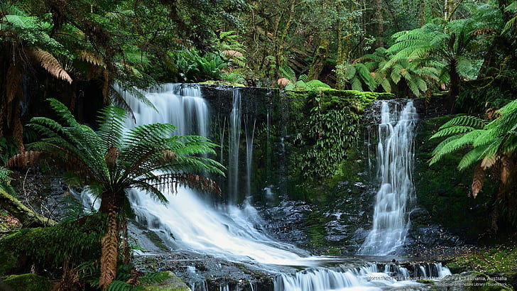 Horseshoe Falls, Mount Field National Park, Tasmania, Australia, Waterfalls, HD wallpaper