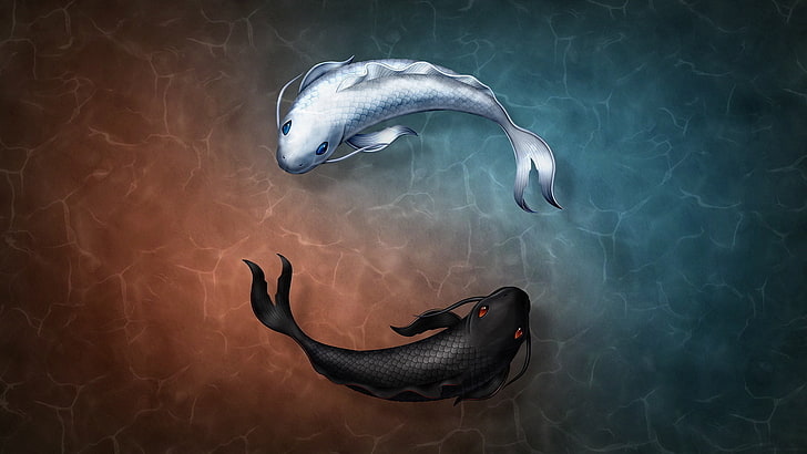 black and white coy fishes illustration, two black and white coi swimming on water animation, fish, Yin and Yang, symbols, Zen Koi, digital art, Avatar: The Last Airbender, HD wallpaper