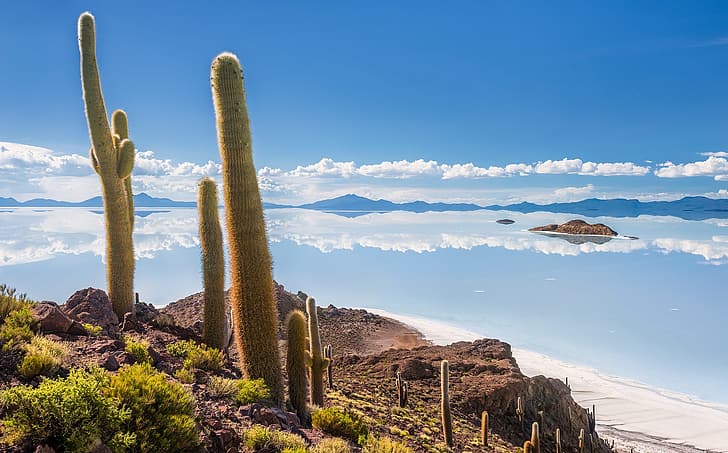 Salar de uyuni, Bolivia, Isla del Pescado, Fondo de pantalla HD