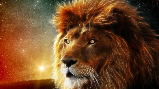 Fractalius, lion, stars, big cats, animals, HD wallpaper HD wallpaper