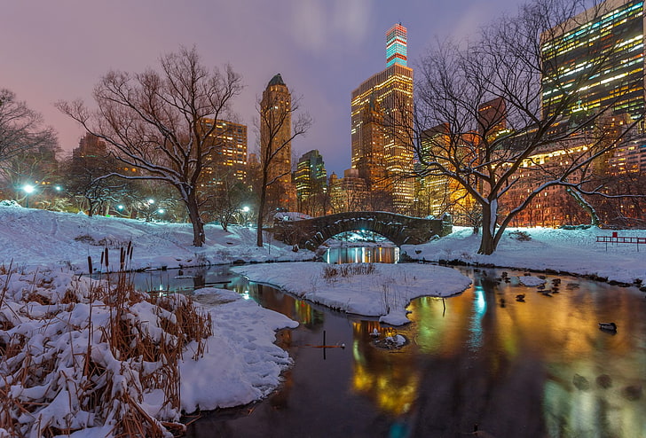 Man Made, Central Park, Bridge, New York, Night, Snow, USA, Winter, HD wallpaper