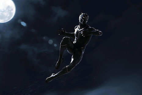 Marvel Cinematic Universe, Schwarzer Panther, Marvel Comics, HD-Hintergrundbild HD wallpaper