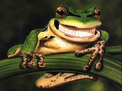 กบยิ้มวอลล์เปเปอร์กบสีเขียวตลก, วอลล์เปเปอร์ HD HD wallpaper