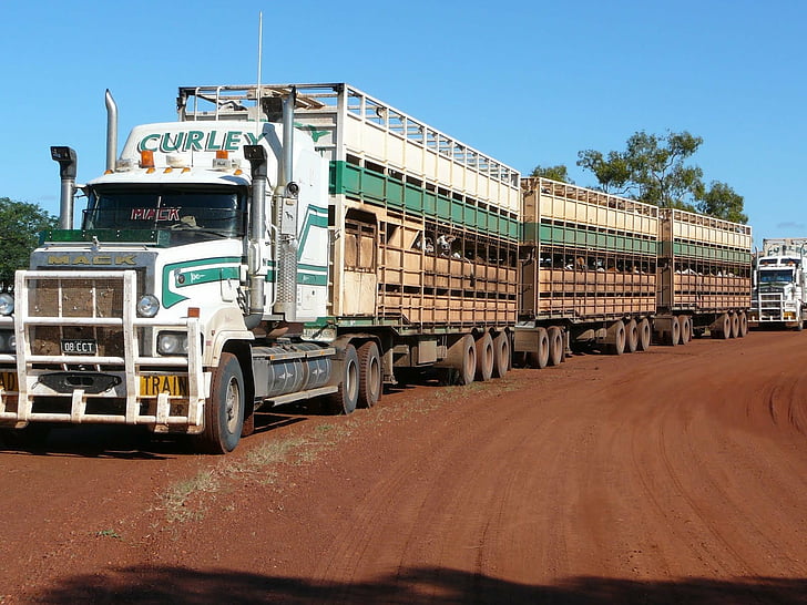 Camion, camion Mack, Australia, trasporto bestiame, Kenworth, autotreno, semi, camion, Sfondo HD