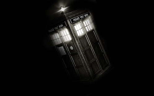 TARDIS, brązowa budka policyjna, programy telewizyjne, 1920x1200, tardis, doktor który, Tapety HD HD wallpaper