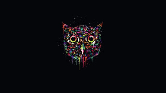 Colorful owl, creative design, black background, red green and purple owl illustration, Colorful, Owl, Creative, Design, Black, Background, HD wallpaper HD wallpaper