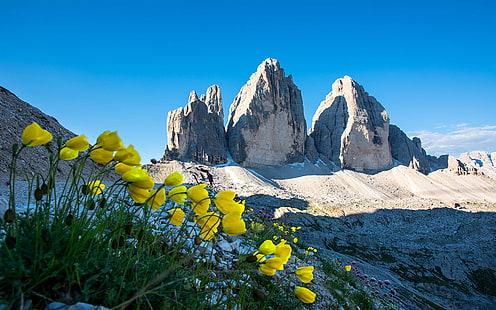 Доломити Три върха на Лаваредо Италия Жълта пролет Пролетни цветя Пейзаж Тапет Hd 1920 × 1200, HD тапет HD wallpaper