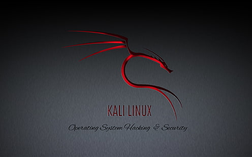 Linux, GNU, Kali Linux, Kali Linux NetHunter, HD обои HD wallpaper