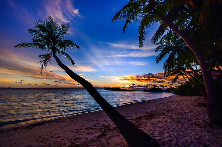 plaża, spokój, chmury, drzewa kokosowe, świt, zmierzch, ślady stóp, idylliczny, natura, ocean, palmy, raj, spokojny, cichy, piasek, sceniczny, malowniczy widok, morze, pejzaż morski, pobrzeże, sylwetka, niebo, sunris, Tapety HD