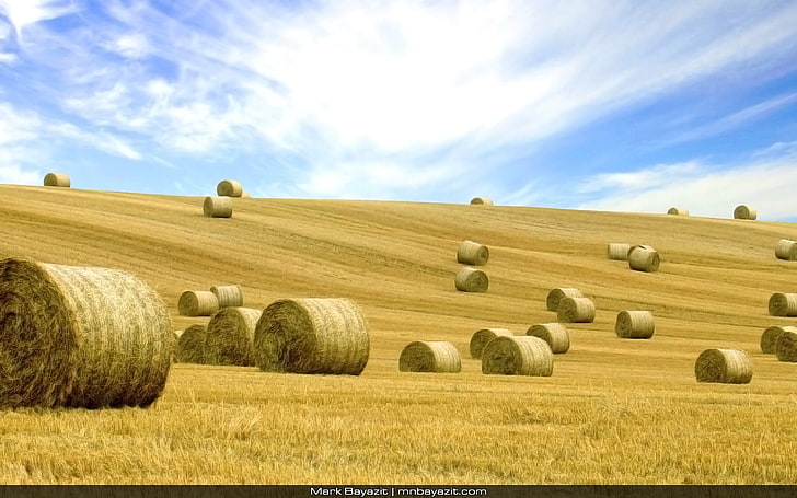 bay of hays wallpaper, landscape, haystacks, field, HD wallpaper
