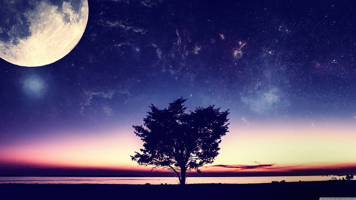 sylwetka drzewa i księżyc w pełni, malowanie liściastego drzewa, natura, Księżyc, sztuka cyfrowa, sztuka kosmiczna, niebo, noc, drzewa, Tapety HD