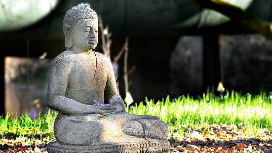 Глубокая медитация будды, статуя гаутамы будды, глубокая будда, медитация, животные, HD обои HD wallpaper