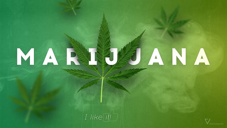 420, канабис, марихуана, трева, HD тапет