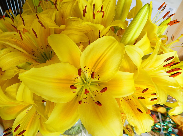yellow flowers, lilies, flowers, flower, yellow, bright, stamens, HD wallpaper