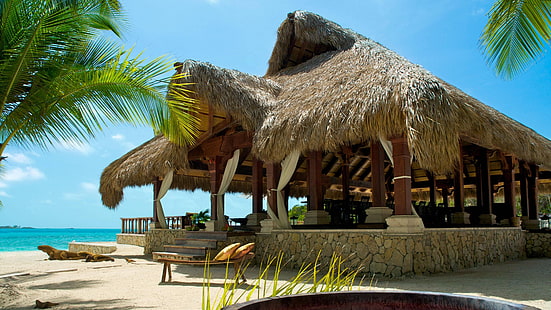 Maldivas, tropical, exótico, verano, vacaciones, viajes, palmeras, playa, arena, Fondo de pantalla HD HD wallpaper