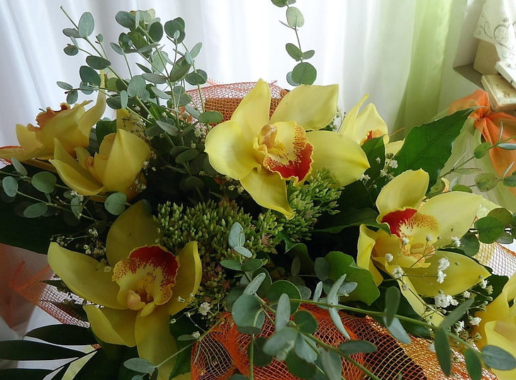 bunga kuning petaled, anggrek, bunga, napas bayi, karangan bunga, dekorasi, Wallpaper HD