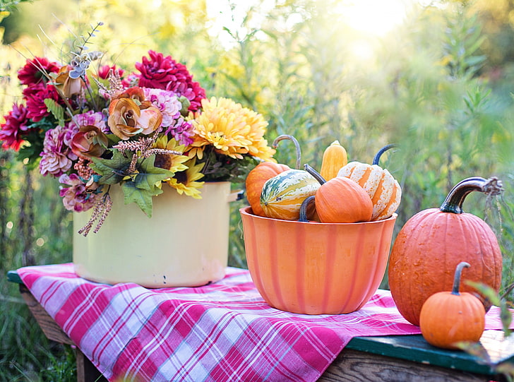 静物カボチャボウル、花、初秋、季節、秋、花、テーブル、果物、カボチャ、屋外、収穫、シーズン、秋、素朴、健康、静物、 HDデスクトップの壁紙