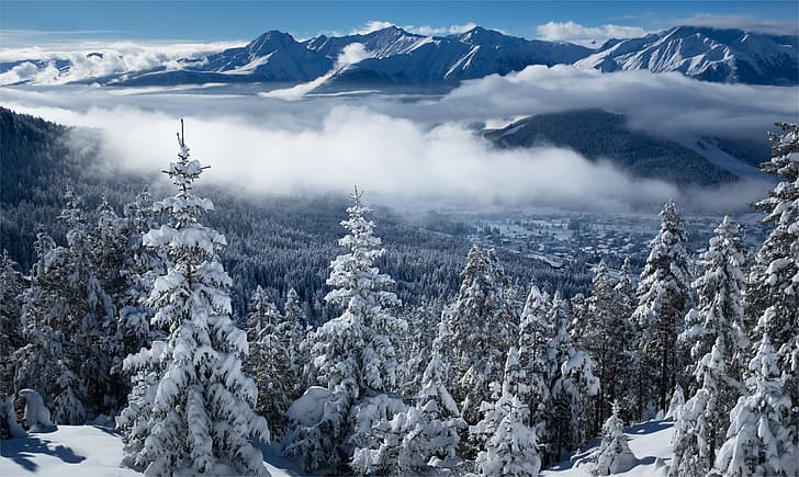 invierno, bosque, nubes, montañas, Austria, ate, valle, pueblo, Alpes, Tirol, Fondo de pantalla HD