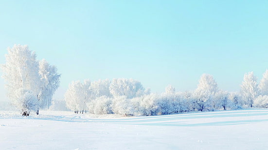 Гора, зима, сняг, дървета, пейзажи, заснежени дървета през деня, гора, зима, сняг, дървета, пейзажи, HD тапет HD wallpaper