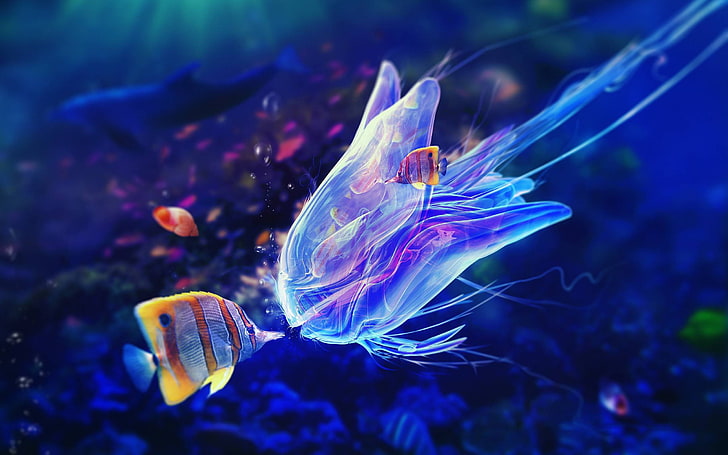 jellyfish, animals, underwater, sea, fish, colorful, HD wallpaper