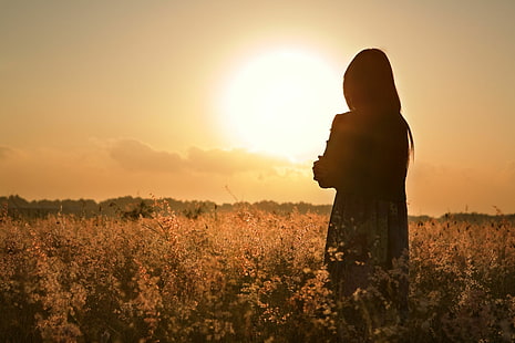 field, flower, girl, the sun, sunset, flowers, loneliness, background, widescreen, mood, woman, hair, calm, thoughts, the evening, silhouette, meditation, full screen, s, fullscreen, HD wallpaper HD wallpaper