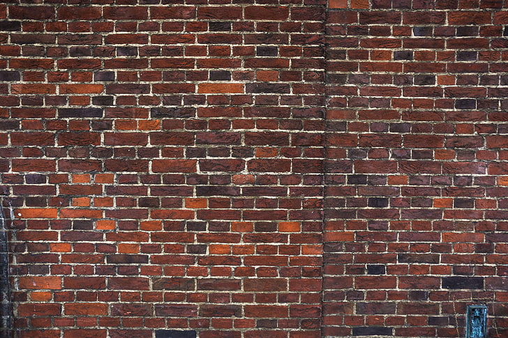 abstract, backdrop, background, brick wall, bricks, building, graffitti, grunge, old brick wall, old buildings, old red bricks, recal media, red bricks, HD wallpaper