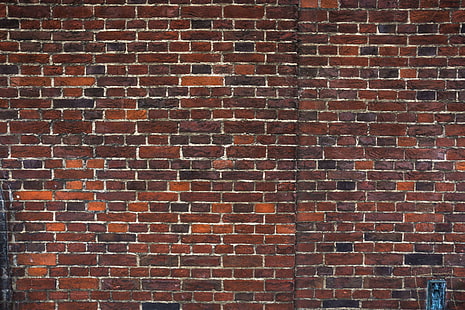 abstract, backdrop, background, brick wall, bricks, building, graffitti, grunge, old brick wall, old buildings, old red bricks, recal media, red bricks, HD wallpaper HD wallpaper