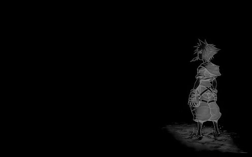 silueta de fondo de pantalla de personaje de anime masculino, Kingdom Hearts, Sora (Kingdom Hearts), paleta, Fondo de pantalla HD HD wallpaper