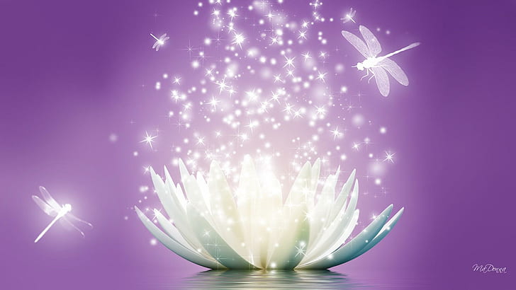 Lotus Flower Sparkle, reflexión, estrellas, libélulas, flor, lavanda, bichos, chispa, agua, flotante, lila, libélula, Fondo de pantalla HD