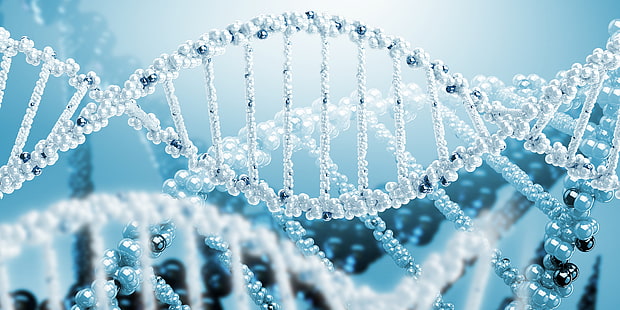 weiße DNA digitale Tapete, Rendering, Wissenschaft, Spirale, DNA, HD-Hintergrundbild HD wallpaper