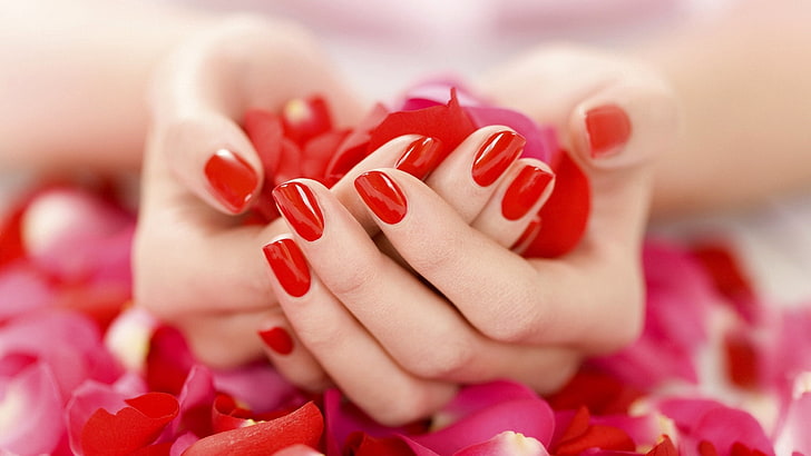 red nail polish, hand, petals, rose, manicure, mood, HD wallpaper