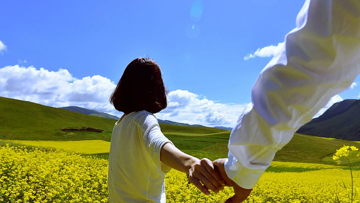 amor, mano, manos, mano a mano, campo de flores, campo, campo de violación, violación, pareja, montañas Qilian, Qinghai, China, Asia, Fondo de pantalla HD