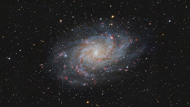 spiral galaxy, space, galaxy, spiral galaxy, Triangulum Galaxy, HD wallpaper