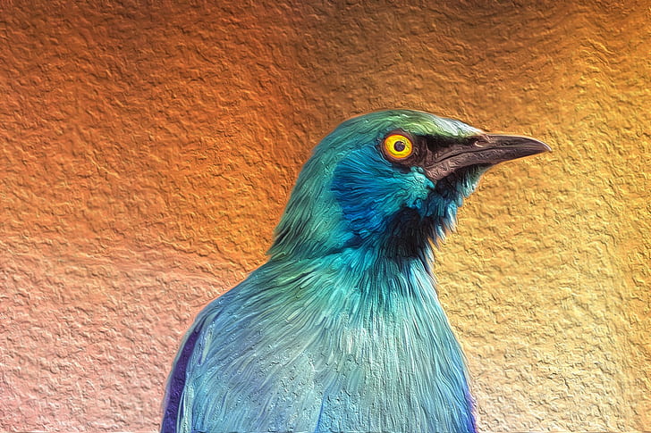 aves, azul, animais, pintura, obra de arte, HD papel de parede