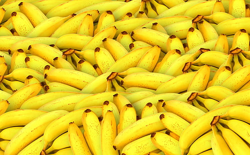 Banane, lotto di banane, Cibi e bevande, Giallo, Frutta, Tropicale, Fresco, Banane, biologico, sano, gustoso, Sfondo HD HD wallpaper