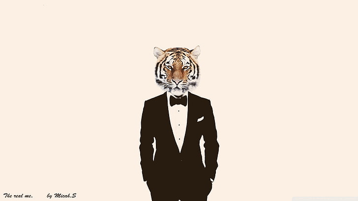 jas formal hitam pria, manipulasi foto, harimau, jas, Wallpaper HD
