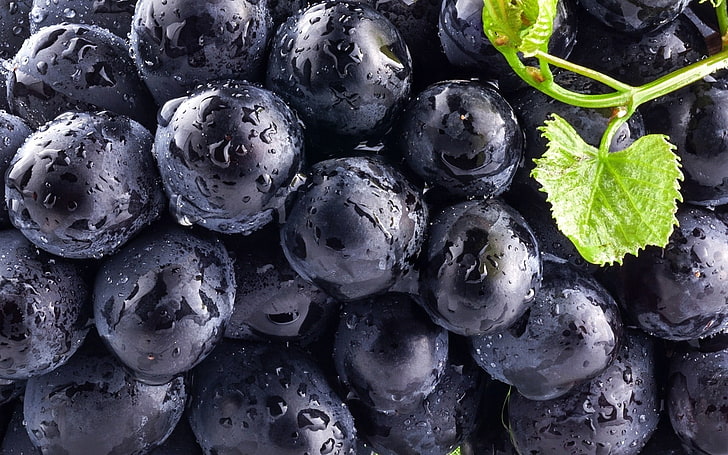 black grapes, blueberries, food, blueberries, macro, fruit, water drops, HD wallpaper