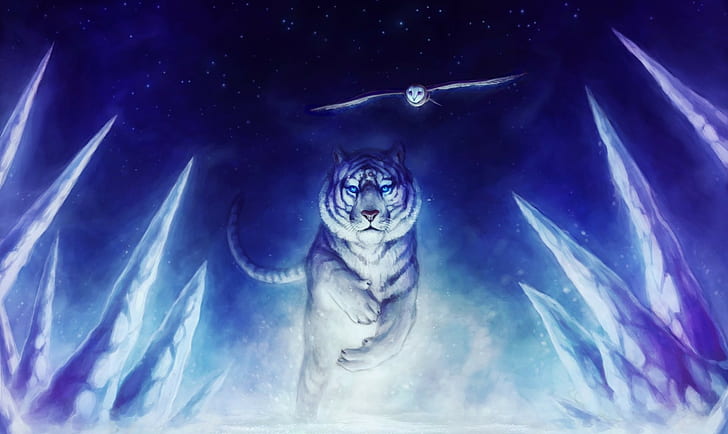 tygrys, sowa, zwierzęta, fantasy art, Tapety HD